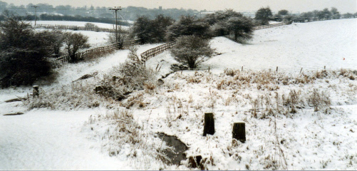 Gateposts in snow